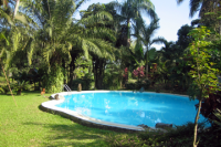 The-Pool
