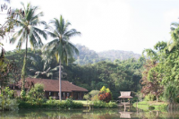 view-1
