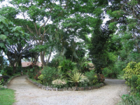 view-3