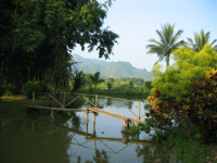 view-4