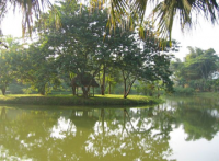 view-5