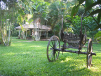 view-6