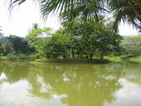 view-8