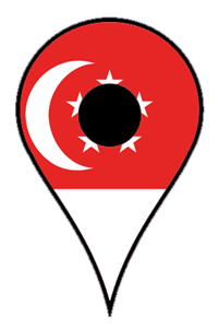 Singapore Pin